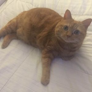 Meet your Posher, Jenny